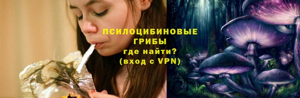 индика Гусиноозёрск