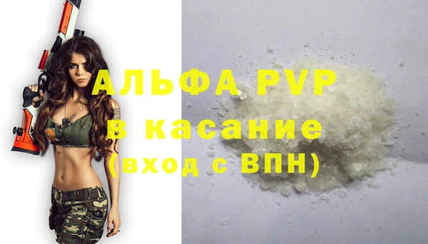 индика Гусиноозёрск