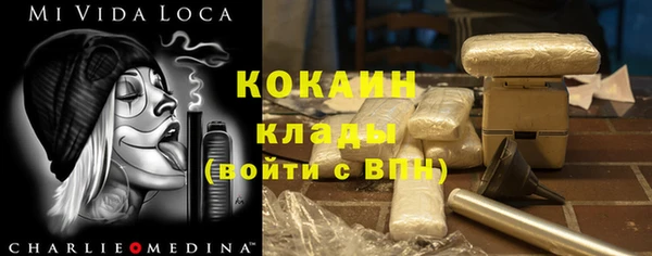 гидра Тайга