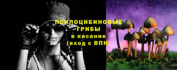 ешки Гусев