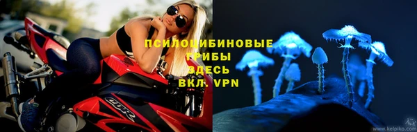 индика Гусиноозёрск