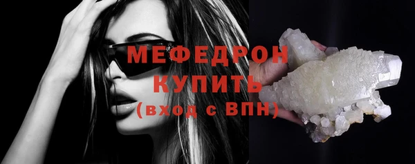 индика Гусиноозёрск