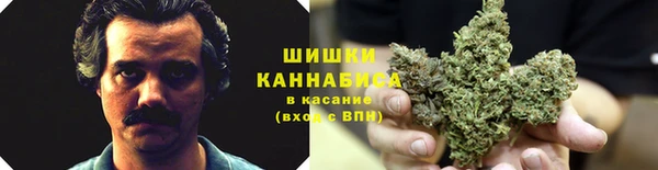 скорость Гусь-Хрустальный
