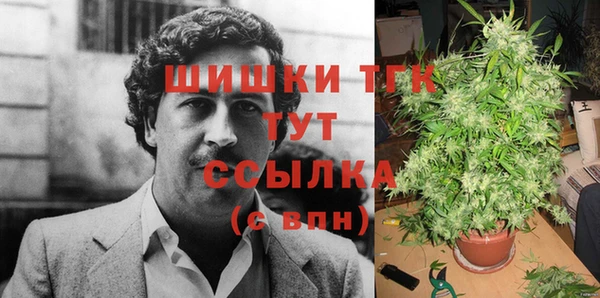 дмт Тавда