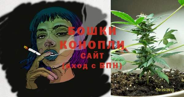 ешки Гусев