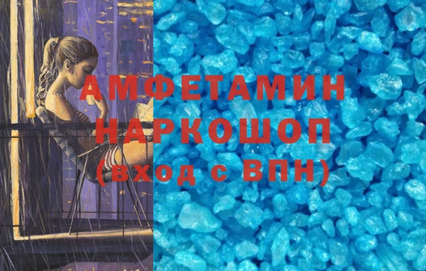 индика Гусиноозёрск