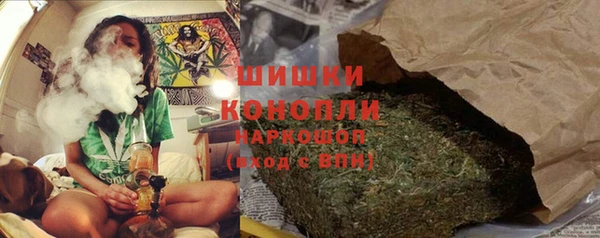 индика Гусиноозёрск