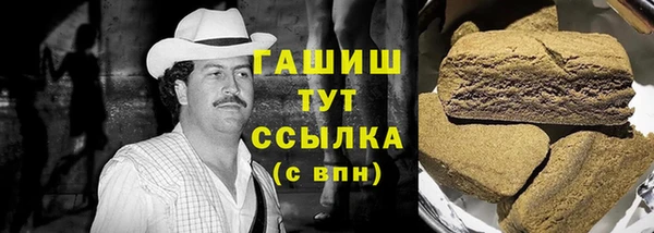ешки Гусев