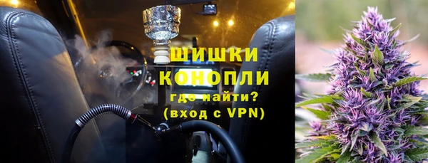 индика Гусиноозёрск