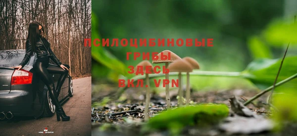 ешки Гусев