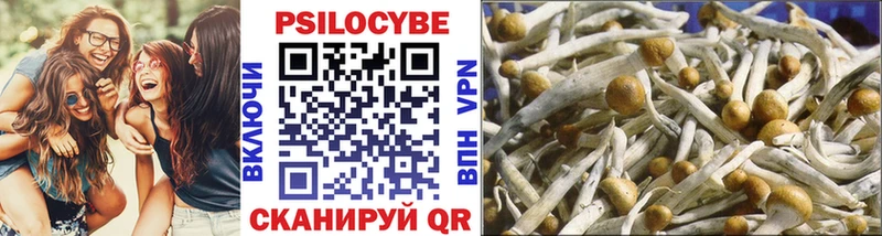 Псилоцибиновые грибы MAGIC MUSHROOMS Донской