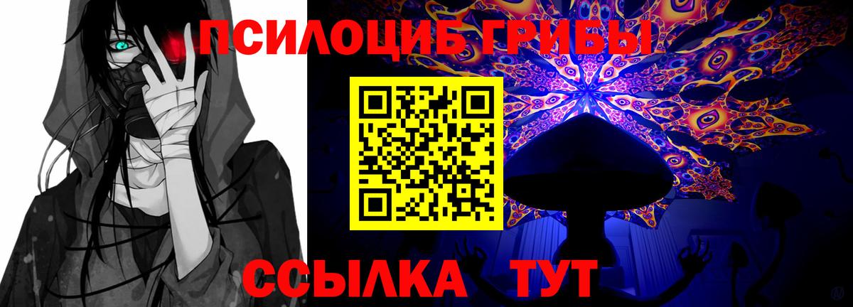 Галлюциногенные грибы MAGIC MUSHROOMS  Вход с VPN  сколько стоит  Донской 